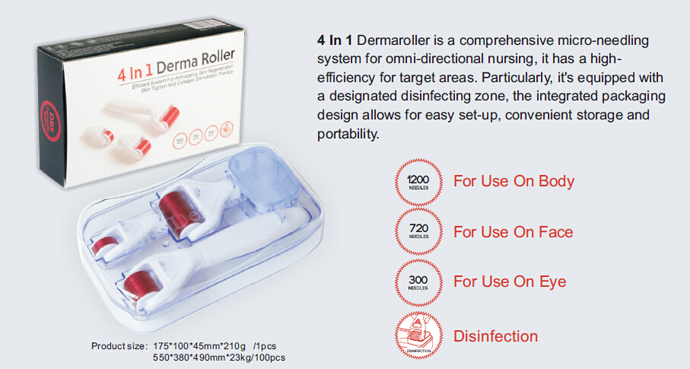 4 in 1 derma roller introduction