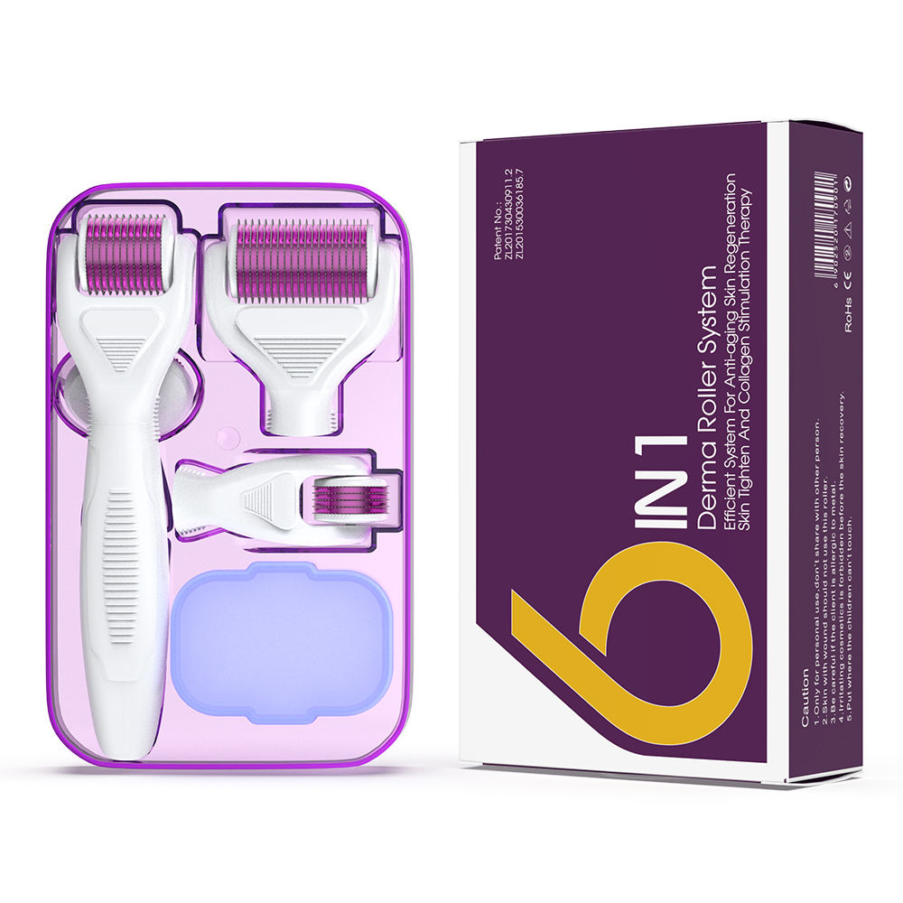 6 in 1 Ice Derma Roller Kit Derma Rolling System Microneedling Kits Beauty and Care Roller for Body Head Lips Home Use Different Sizes
